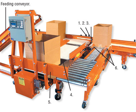 Trunkline Box-Filling Conveyor Systems